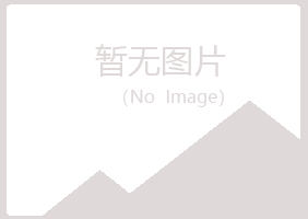 舞阳县山柳工程有限公司